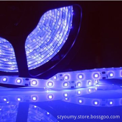 Professional Manufacturer SMD 3528 60 LEDs/m IP65 Purple LED Flexible Strips